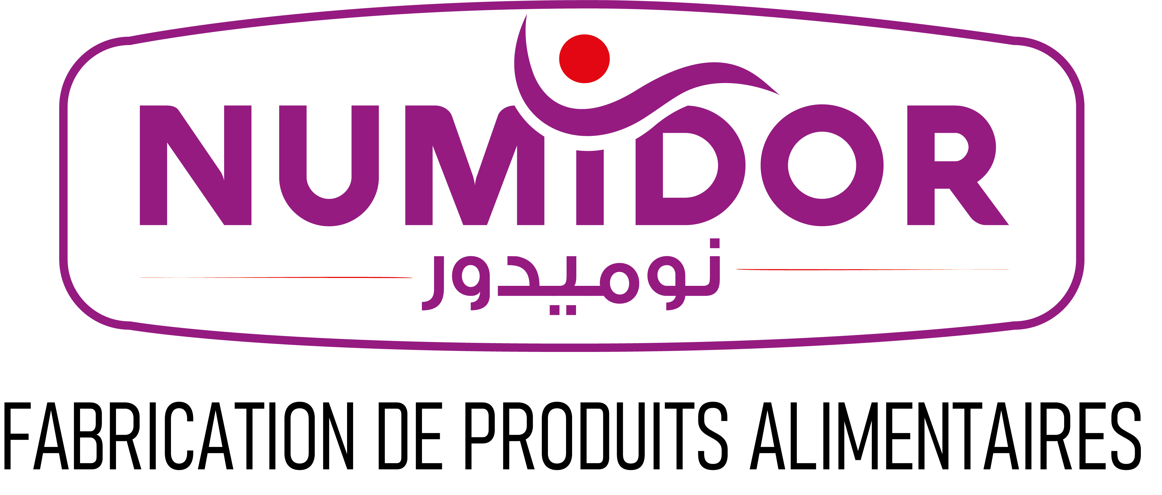 LOGO NUMIDOR